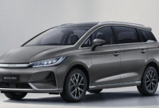 BYD M6 DM Resmi Meluncur di Indonesia, Tawarkan Teknologi Plug-in Hybrid dengan Jarak Tempuh 1.800 Km
