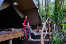 Nikmati Keindahan Hutan Pinus dan Budaya Lokal di DeLoano Glamping