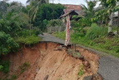 Jalan Lingkar di Desa Peninjauan Amblas Akibat Longsor