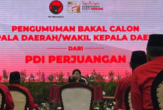 Megawati Memutuskan Batal Pensiun: Alasannya Ada yang Mau Ambi Alih PDIP !