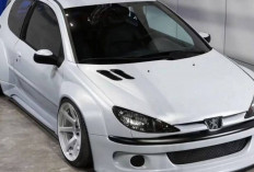 Dari Kota ke Arena Balap : Kisah Sukses Peugeot 206 yang Mendunia