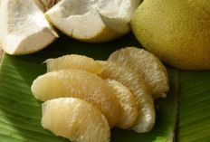 Tingkatkan Daya Ingat dan Sembuhkan Batuk Berdahak dengan Kulit Jeruk Bali
