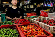 Harga Pangan Tidak Boleh Dimainkan!