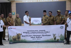 SMBR Berbagi Berkah Idul Adha, 17 Sapi Qurbn Disalurkan Untuk Masyarakat Ring 1