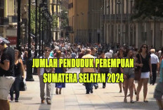 5 Kabupaten dengan Jumlah Penduduk Perempuan Terbanyak di Sumatera Selatan 2024 : Juaranya Bukan Banyuasin !