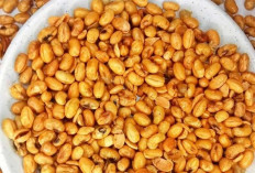 Kacang Kedelai: Sumber Protein Nabati Unggulan dan Manfaatnya Bagi Kesehatan