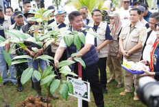 Gubernur Herman Deru Ingatkan Bahaya Karhutla Dan Perubahan Iklim