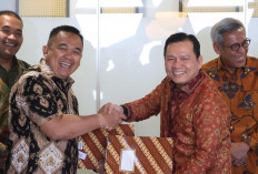 PSN Sawah Rawa Sumsel Disetujui Presiden : Mendukung Ketahanan Pangan Nasional