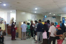 Berandil Turunkan Angka Pengangguran di Palembang