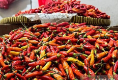 Harga Pangan 23 April 2025 : Bawang Merah Turun, Cabai Rawit Masih Meroket !