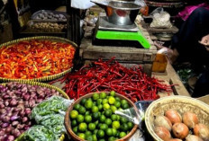 Update Harga Pangan 15 Maret 2026:  Telur Ayam Rp33.050 dan Bawang Merah Rp44.100 per Kilogram !