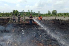 BPBD Sumsel Catat 394 Karhutla