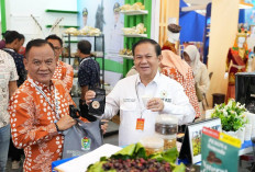 Kopi Semendo Masih Jadi Primadona: Pemkab Muara Enim Tawarkan Peluang Investasi di Apkasi Otonomi Expo 2025