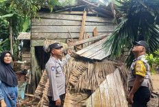 Angin Kencang Tumbangkan Pohon, Satu Rumah di Desa Kota Daro I Rusak