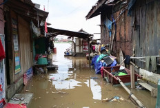 Air Pasang Rendam Rumah di Tepian Sungai Musi : Warga Berharap Bantuan !