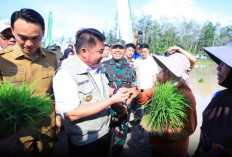 Hadapi El Nino, OKI Jadi Lokus Utama Percepatan Tanam Padi Sumsel