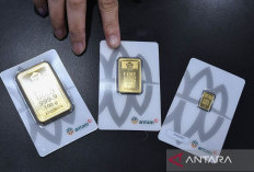 Harga Emas Antam 7 Februari 2025 : Turun Tajam Rp16.000 Menjadi Rp1.690 Juta per Gram !