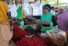 Harga Cabe Keriting Turun Diangka Rp50 ribu/Kg 