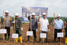 Lahan PSR di OKI Ditanami Padi Gogo: Dukung Swasembada Pangan Prabowo