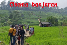 Sawah Hits Arjasari: Wisata Gratis, Pemandangan Kelas Dunia!