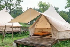 Puncak Camp Hills: Sensasi Glamping Nyaman di Tengah Alam Cisarua yang Menawan