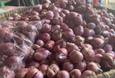 Harga Pangan 1 November 2024 : Kenaikan Bawang Merah Menjadi Rp32.240 per Kilogram !