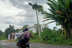 Lampu Jalan Tak Kunjung Diperbaiki, Warga Minta Perhatian Serius Pemkot Lubuklinggau