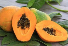 Atasi Jerawat dan Kulit Berminyak dengan Jus Kulit Pepaya 