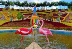 Pesona Agrowisata Tanjung Sakti, Surga Tersembunyi di Kaki Gunung Dempo yang Wajib Masuk Daftar Liburan! 