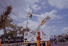 PLN Turunkan 69 Ribu Personel Special Force 