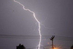 Berteduh saat Hujan, Pekerja Sawit di OKI Tewas Tersambar Petir