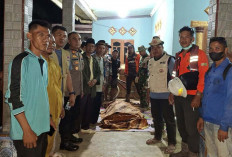 Tepat di Hari Ulang Tahunnya, Korban Serangan Buaya di Banyuasin Ditemukan 