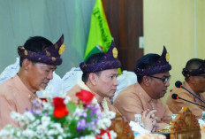 HUT Ke-23 Kota Prabumulih : Pj Gubernur Sumsel Apresiasi Capaian Kota Prabumulih !