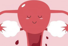 Bahaya Kesehatan jika Menstruasi Tidak Lancar: Masalah yang Sering Diabaikan !