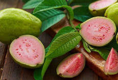 Manfaat Jambu Biji: Buah Murah dengan Segudang Khasiat untuk Kesehatan Tubuh