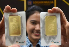 Harga Emas Antam 14 Oktober 2024 : Turun Rp5.000, Kini Rp1,490 Juta per Gram !