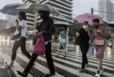 Prakiraan Cuaca BMKG 5 Mei 2025 : Hujan Melanda Sebagian Besar Wilayah, Waspadai Petir dan Kabut !
