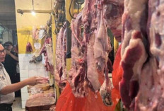 Harga Pangan 10 Desember 2024 : Daging Sapi Murni Turun hingga Rp5.170 per Kilogram !