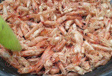Jangan Dibuang! Kulit Udang Ternyata Dapat Menjaga Kesehatan Tulang dan Sendi  