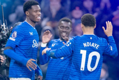 Gol Barry Selamatkan Everton dari Kekalahan