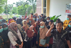 PHL Prabumulih Terancam Dirumahkan Setelah Gagal PPPK, Ratusan Honorer R2 dan R3 Hadapi Ketidakpastian Nasib