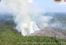 BPBD Sumsel Catat 154 Kejadian, Lahan Terbakar Capai 305 Hektare