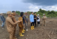 Tinjau Lahan Program Cetak Sawah Rakyat di Muara Kuang, Panca:Harapkan Bantuan Pusat 