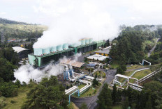 PLN Group Sabet 46 PROPER Emas dan Hijau 2025 KLH
