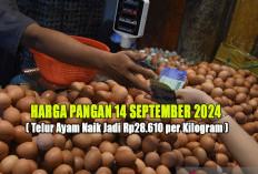 Harga Pangan 14 September 2024 : Telur Ayam Naik Lagi Jadi Rp28.610 per Kilogram !