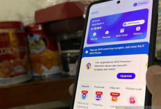 Dompet Digital OVO Permudah Transaksi Lebaran, dari Kirim THR hingga Bayar QRIS