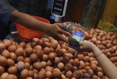 Harga Pangan 17 Desember 2024 : Telur Ayam Capai Rp31.690 per Kilogram !