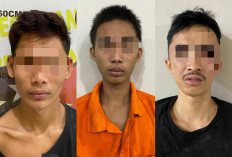 Begal Bersenjata Tajam Beraksi di Jalinsum Palindra, Tiga Pelaku Keok Ditangkap Polisi