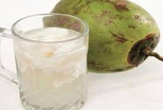 Air Kelapa dan Manfaatnya bagi Ibu Hamil : Kaya Antioksidan dan Elektrolit, Aman Dikonsumsi Setiap Hari !