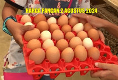 Harga Pangan 2 Agustus 2024 :  Minyak Goreng dan Telur Mulai Turun, Beras Bertahan Naik Tipis !